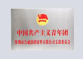 中国共产主义青年团