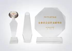 企业社会责任贡献单位