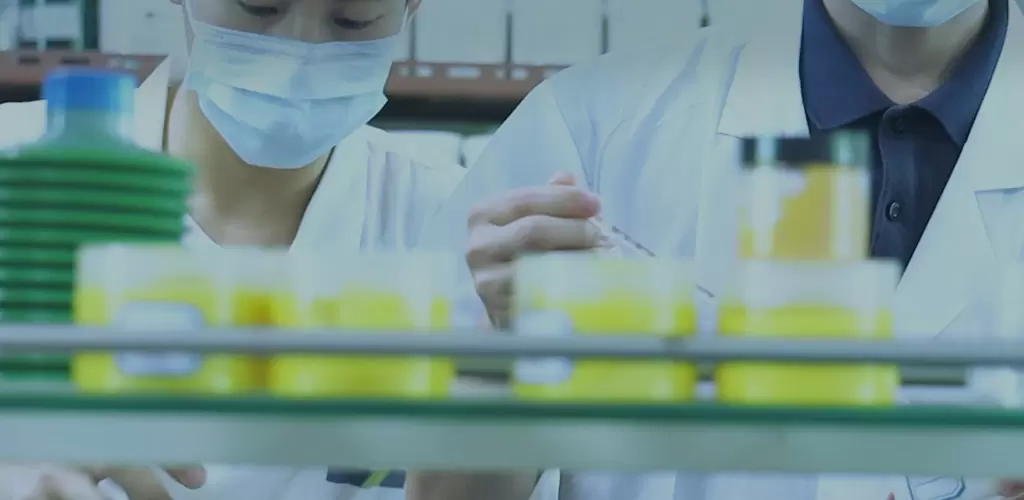 技术支持