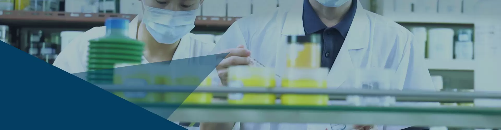技术支持