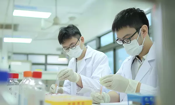 油脂定制